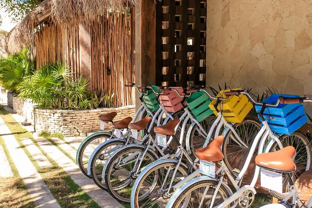 Eco-Chic Design Condos Wrapped In Nature'S Elements By Stella Rentals Tulum Meksika
