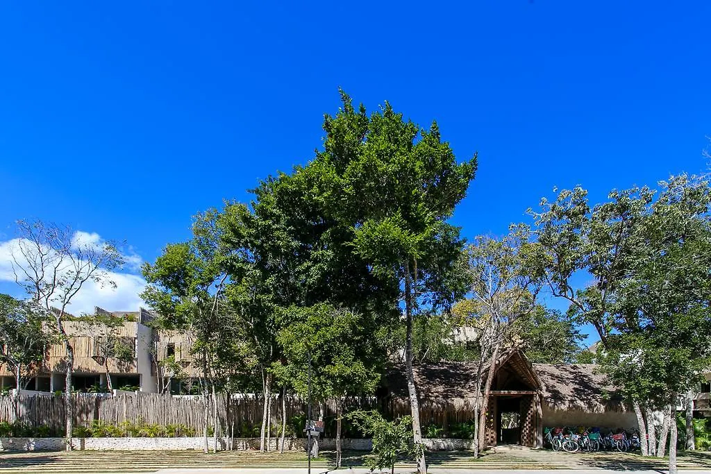 Daire Eco-Chic Design Condos Wrapped In Nature'S Elements By Stella Rentals Tulum Meksika